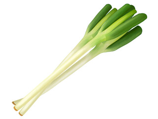白ネギ三本のリアルなテイストの手描きイラスト