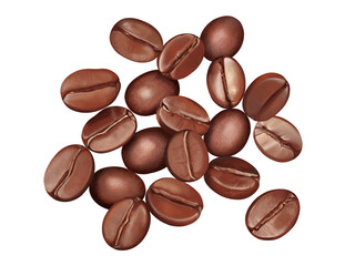 A hand-drawn illustration of a realistic taste of coffee beans.