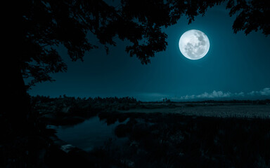 Full moon over the river in the forest at night. Nature background