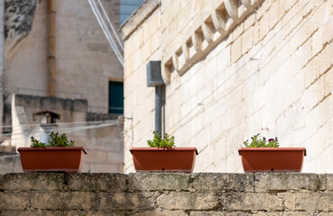 Fototapeta na wymiar Three pots. Matera, a Unesco World Heritage Site.