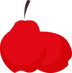 Rose Apple Illustration