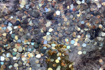 background coins at the bottom of the underwater money in the fountain