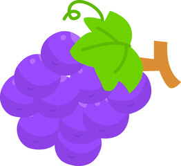grape illustrations