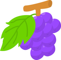 grape illustrations