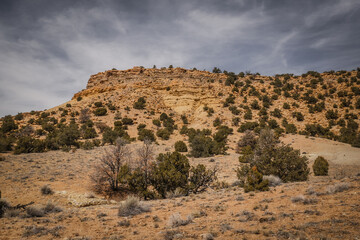 Wide landscape of desert terrain in central Utah of beautiful mesa and pine bushes