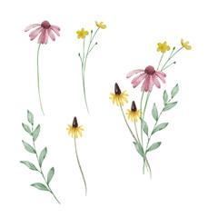 Watercolor bouquet of wildflowers, illustration for cards