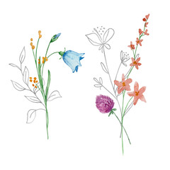 Watercolor bouquet of wildflowers, illustration for cards