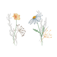 Watercolor bouquet of wildflowers, illustration for cards