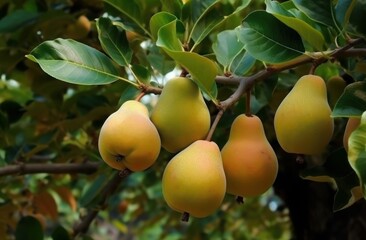 delicious fresh pears in a tree, Generative AI
