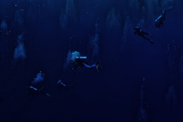 Fototapeta premium group of divers depth bubbles dive