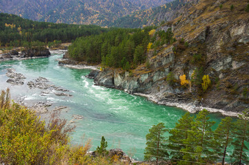 Obraz premium View of river Katun and Altay mountains