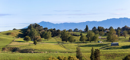Picturesque rural landscape with Kaimai Range in the morning sun