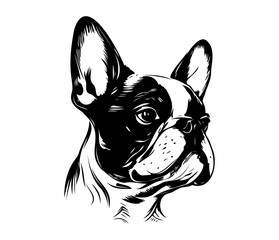 French Bulldog, Silhouettes Dog Face SVG, black and white French Bulldog vector