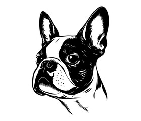 French Bulldog, Silhouettes Dog Face SVG, black and white French Bulldog vector