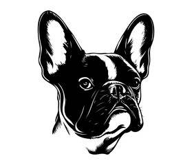 French Bulldog, Silhouettes Dog Face SVG, black and white French Bulldog vector