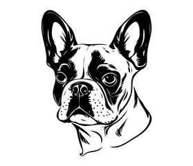 French Bulldog, Silhouettes Dog Face SVG, black and white French Bulldog vector
