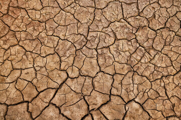 cracks on the ground desert texture background earth climate ecology