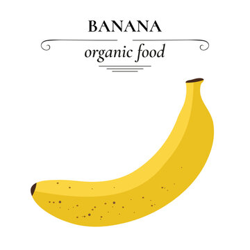 Banana is a tropical fruit. Vector icon. Healthy organic food.