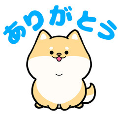 柴犬と「ありがとう」の文字