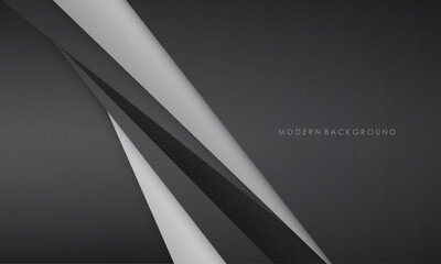 Modern abstract backrgound black and white color elegant design