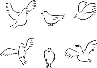 鳥の線画ベクターイラスト