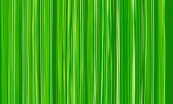 Grass Background. Nature Green Texture From Long Vertical Blades Of Grass, Natural Abstract Striped Wallpaper Of Stripes Of Green Shades. Eco Concept. Design Of Earth Day Banners And Flyers