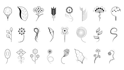 Big Abstract Set Doodle Elements Hand Drawn Collection Botanic Herbal Flora Leaf Branch Vine Flower Plant Elements F Vector Desgin Style