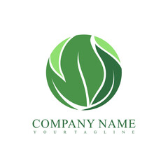 Vector organic green leaf logo design vector template. Ecology vector design