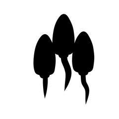 Sperm Cells illustration