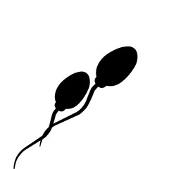 Sperm Cells illustration