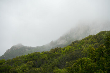 Fototapeta na wymiar Nebelverhangene Berge im Hochgebirge von Sardinien