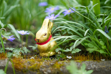 Ein Osterhase aus Schokolade im Garten