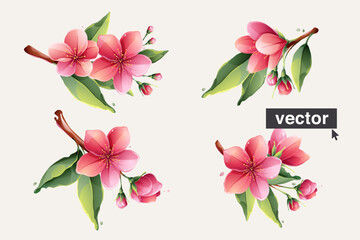 Spring sakura blooming flowers. Vector realistic watercolor style. Pink cherry blossom, petals, bud, branch, and green leaves set.