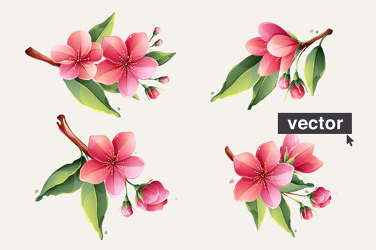 Spring sakura blooming flowers. Vector realistic watercolor style. Pink cherry blossom, petals, bud, branch, and green leaves set.