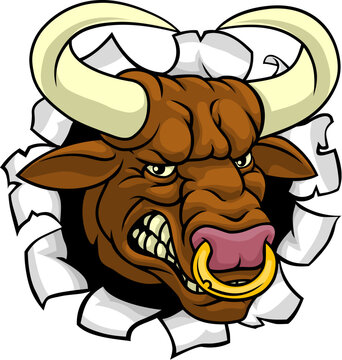 A bull or Minotaur monster longhorn cow angry mean head mascot face cartoon. Tearing through the background. With a ring through their nose.
