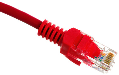 colored ethernet plug with cable isolated on white background close-up