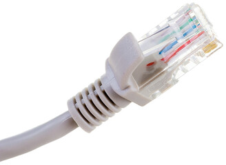colored ethernet plug with cable isolated on white background close-up