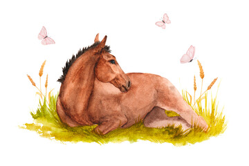 Watercolor illustration of a horse foal lying in the green grass with pink butterflies © dakora