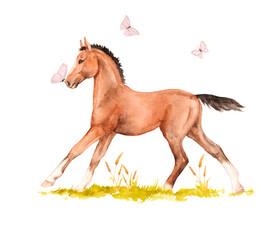 Watercolor illustration of a horse foal galloping in the green grass with pink butterflies