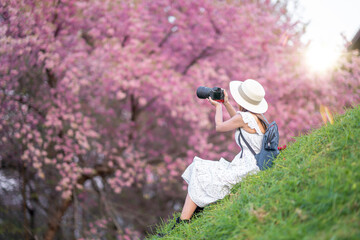 Asian traveller woman middle age take a photo by her digital camera to pink Sakura flower