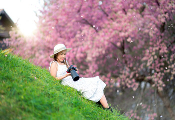 Asian traveller woman middle age take a photo by her digital camera to pink Sakura flower