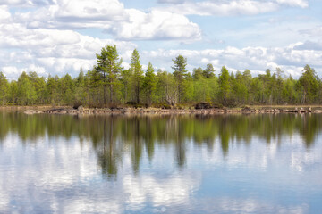 Obraz na płótnie Canvas Landscapes with reflection in the river. Kola Peninsula, Arctic Circle, Russia
