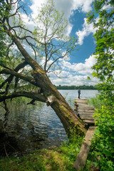 Lakeside on a sunny summer day