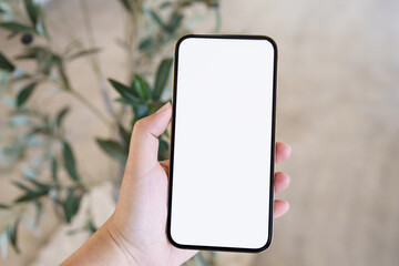 Women's hands holding cell telephone blank copy space screen. smartphone with blank white screen isolated. smart phone with technology concept.