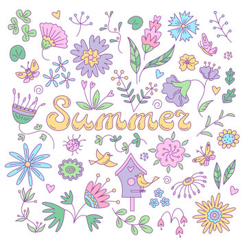 Summer floral card with butterflies and birds. Vector isolated color illustration in doodle style.