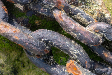 old rusty chain on the seashore 