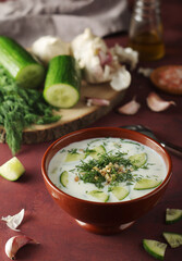 A bowl with Tarator cold soup - traditional Bulgarian dish