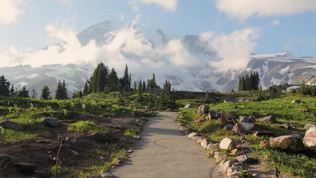 Experience Hiking the Paradise Trails in Mt Rainier National Park