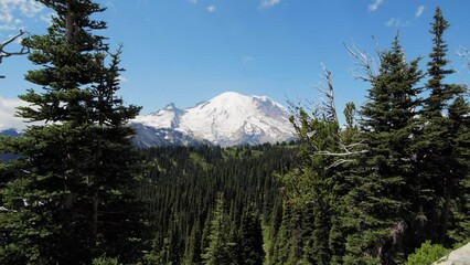 Exploring the Hidden Gems of Mount Rainier National Park