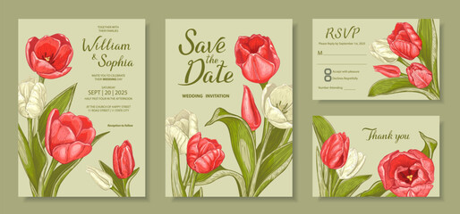 Wedding invitation card template. Floral design with blooming flowers of lovely red and white tulips and greenery. Vector illustration. Background with spring flowers - 590749304